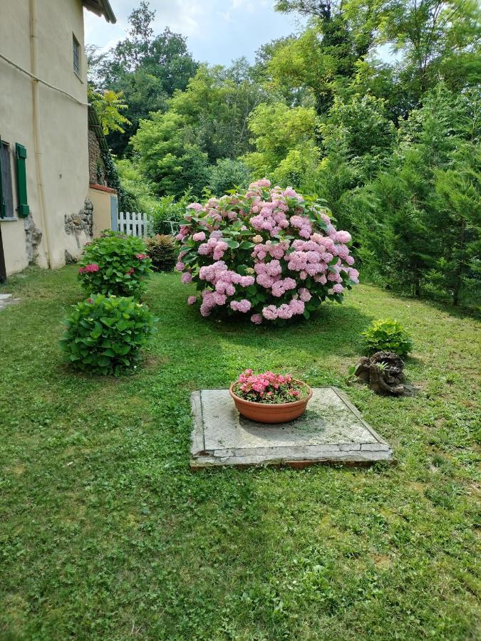 Casa Relax Immersa Nel Verde Della Natura Casalborgone Exterior photo
